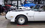 1980 Trans Am Turbo Pace Car Thumbnail 2