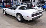 1980 Trans Am Turbo Pace Car Thumbnail 5