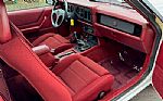 1984 Mustang GT 350 Thumbnail 14