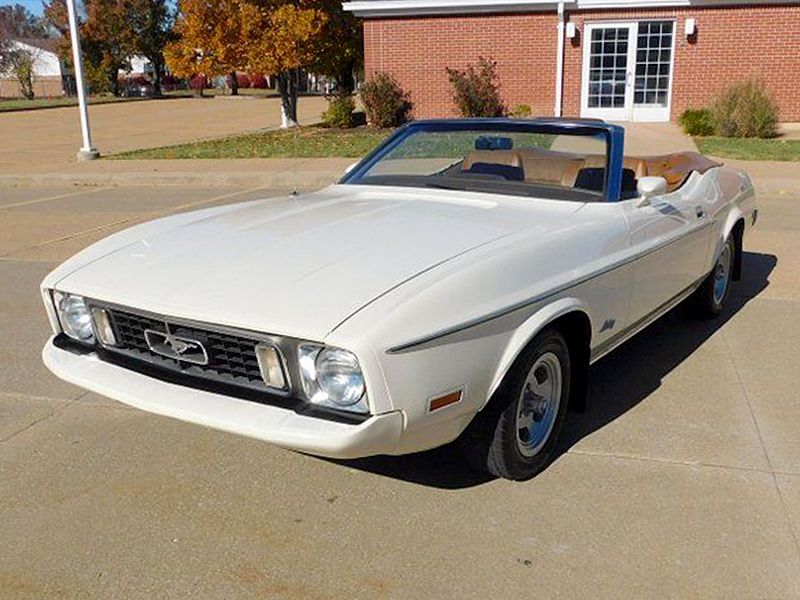 1973 Mustang Image