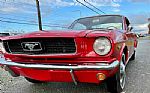 1966 Mustang Fastback Thumbnail 71
