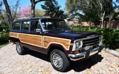 1989 Jeep Grand Wagoneer 