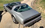 1979 Trans Am Thumbnail 3