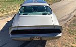 1979 Trans Am Thumbnail 5