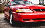 1998 Mustang Thumbnail 11