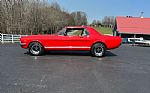 1966 Mustang Thumbnail 1