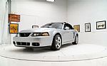 2004 Mustang Cobra Thumbnail 2