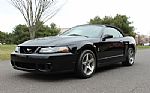 2003 Ford Mustang SVT Cobra