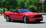 2008 Shelby Mustang Thumbnail 7