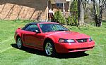 2002 Mustang Thumbnail 22