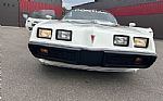 1981 Trans Am Thumbnail 7