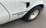 1981 Trans Am Thumbnail 34