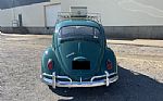 1966 Beetle Thumbnail 11