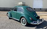 1966 Beetle Thumbnail 8