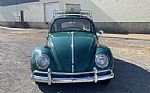 1966 Beetle Thumbnail 26