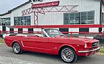 1964 Mustang Convertible Thumbnail 14