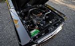 1965 Mustang Shelby GT350H Thumbnail 64