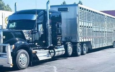 2020 Kenworth W990 