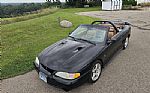 1998 Mustang SVT Cobra Thumbnail 2