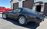 1981 Corvette Thumbnail 4