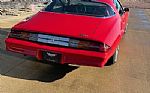 1981 Camaro Thumbnail 5