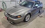 2001 Mustang SVT Cobra Thumbnail 2
