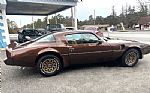 1979 Trans Am Thumbnail 4