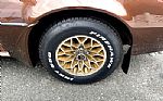 1979 Trans Am Thumbnail 20