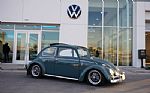 1966 Beetle Thumbnail 2