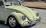 1969 Beetle Thumbnail 17
