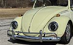 1969 Beetle Thumbnail 23