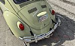 1969 Beetle Thumbnail 44