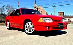1993 Mustang Cobra Thumbnail 3