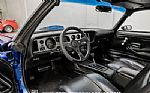 1979 Firebird Trans Am Thumbnail 4