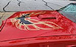 1977 Trans Am Thumbnail 16