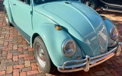 Photo of a 1966 Volkswagen Beetle Euro Model for sale