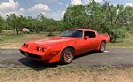 1979 Firebird Thumbnail 11