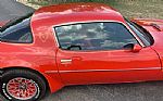 1979 Firebird Thumbnail 98