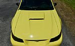 2001 Mustang GT Roush Stage 2 Thumbnail 41