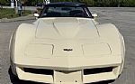 1981 Corvette Thumbnail 5