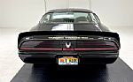 1981 Firebird Bandit Edition Turbo Thumbnail 4