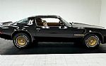 1981 Firebird Bandit Edition Turbo Thumbnail 6