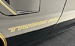 1981 Firebird Bandit Edition Turbo Thumbnail 12