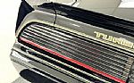 1981 Firebird Bandit Edition Turbo Thumbnail 21