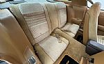 1981 Firebird Bandit Edition Turbo Thumbnail 42