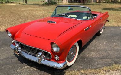 1955 Ford Thunderbird 