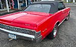 1965 GTO Thumbnail 18