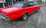 1965 GTO Thumbnail 19