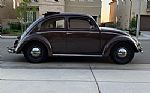1950 Beetle Thumbnail 5
