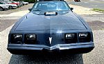 1981 Trans Am Thumbnail 3